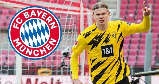 合规先行 合规先行